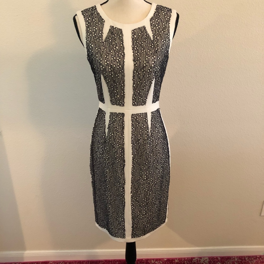 BCBG Rumor Lace-Blocked Sheath Dress